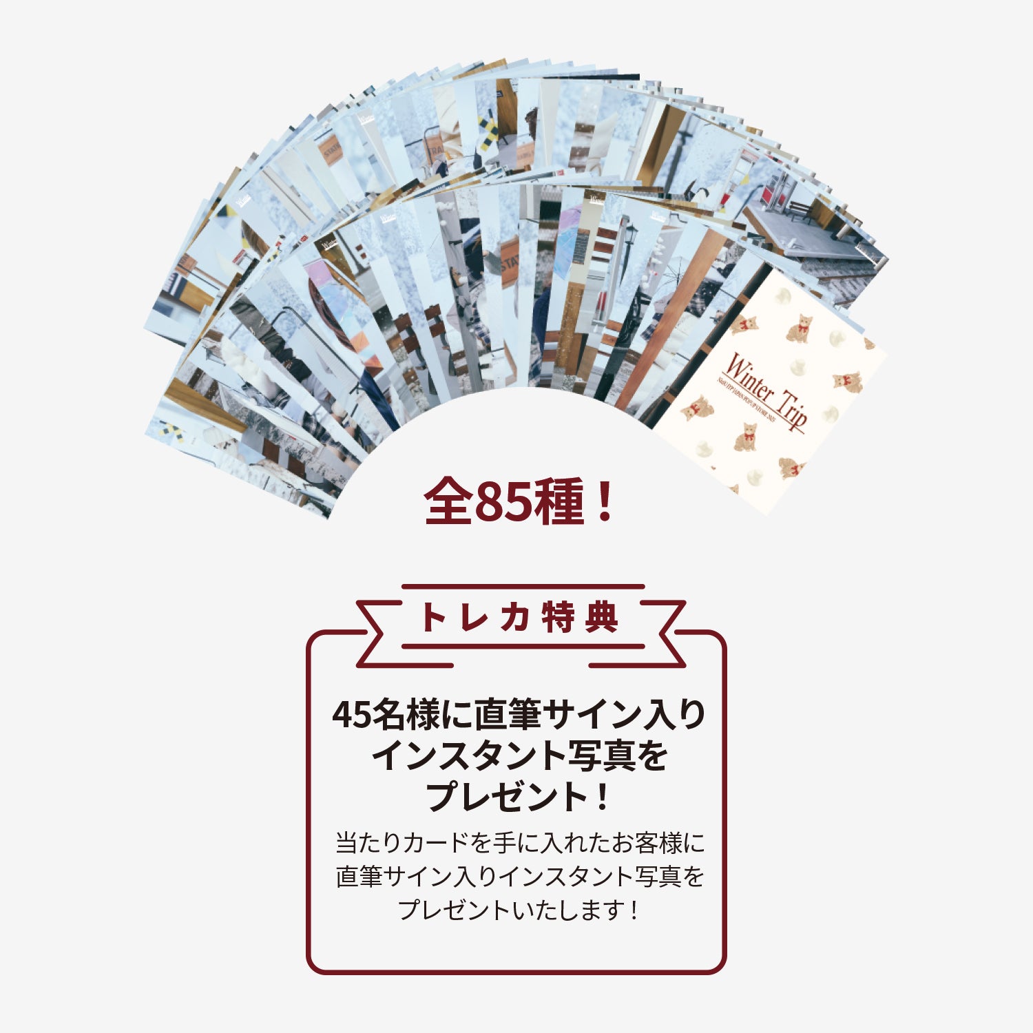 RANDOM TRADING CARD / NiziU『JYP JAPAN POPUP STORE 2025』 – JYP