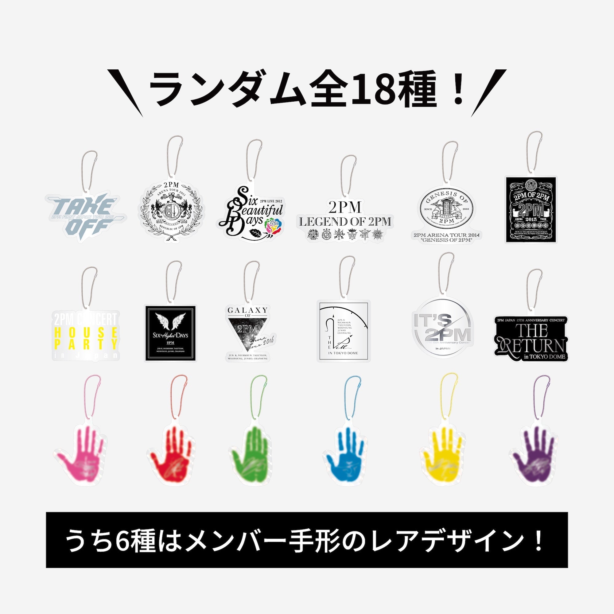 2PM THE 2PM in TOKYO DOME ピンバッジセット RANDOM ACRYLIC KEY HOLDER / 2PM『Japan 15th Anniversary Concert