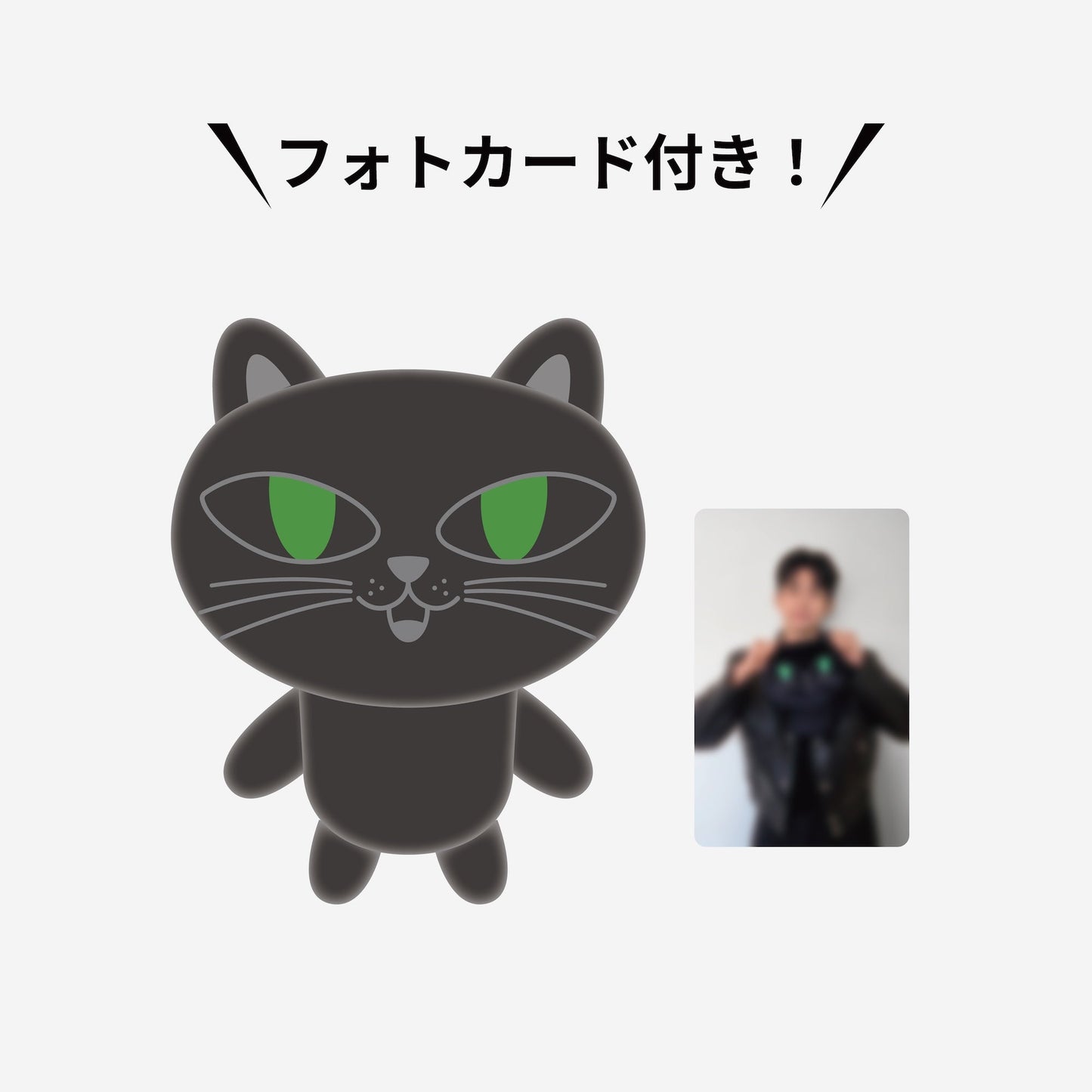 SOFT TOY - OKCAT / 2PM『Japan 15th Anniversary Concert “THE RETURN” in TOKYO DOME』