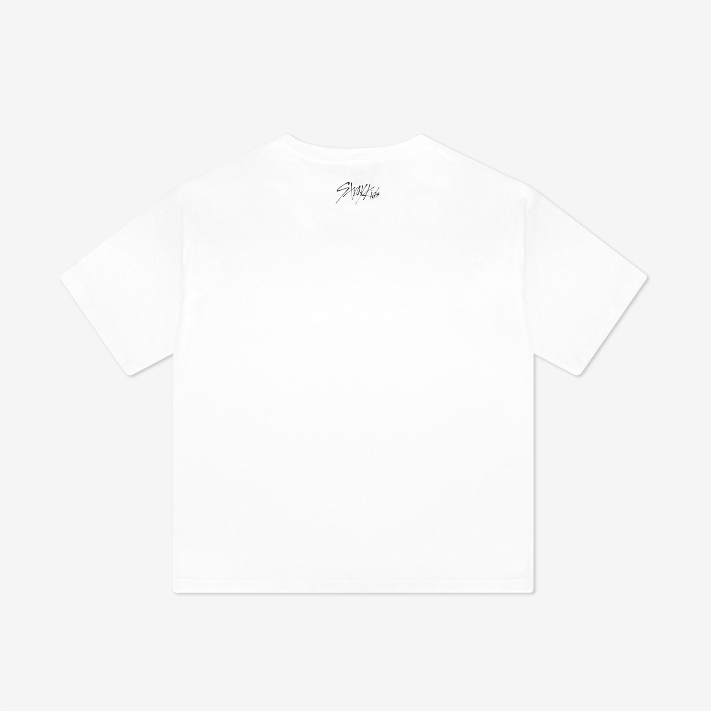 OVERSIZE T-SHIRT - HAN QUOKKA / Stray Kids『5-STAR Dome Tour 2023』