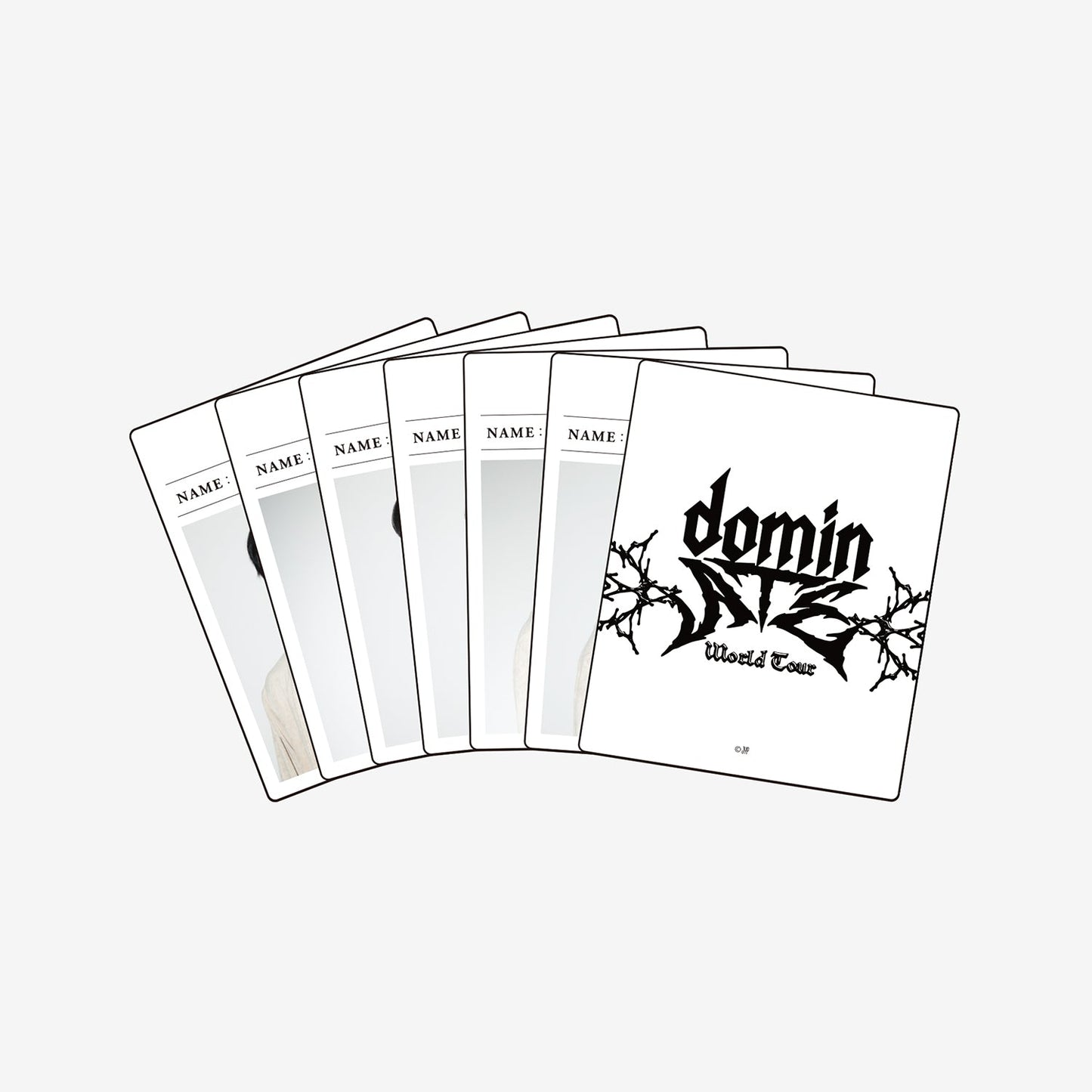 INSTANT PHOTO SET(6PIECES)- HAN / Stray Kids『Stray Kids World Tour <dominATE JAPAN>』