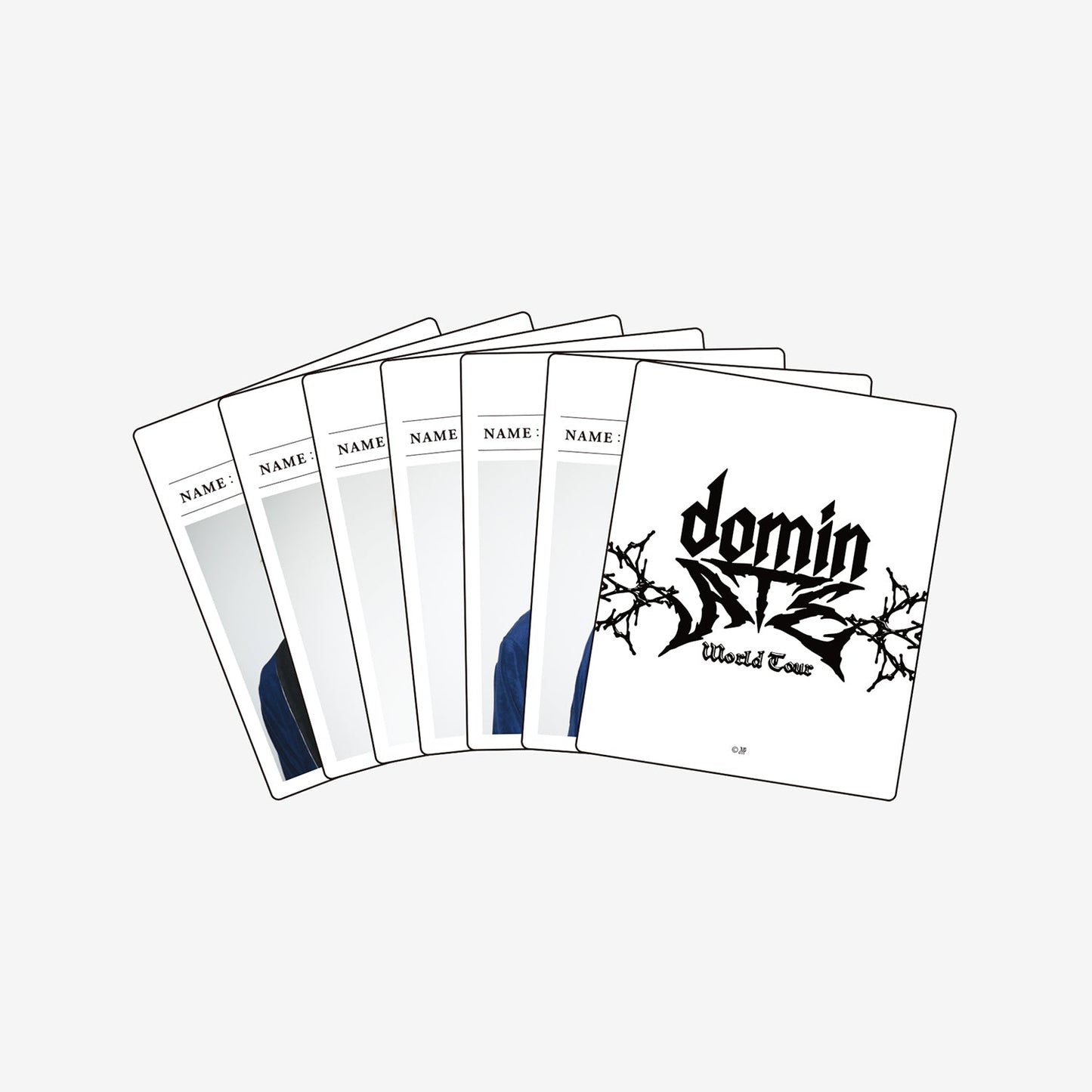 INSTANT PHOTO SET(6PIECES)- I.N / Stray Kids『Stray Kids World Tour <dominATE JAPAN>』