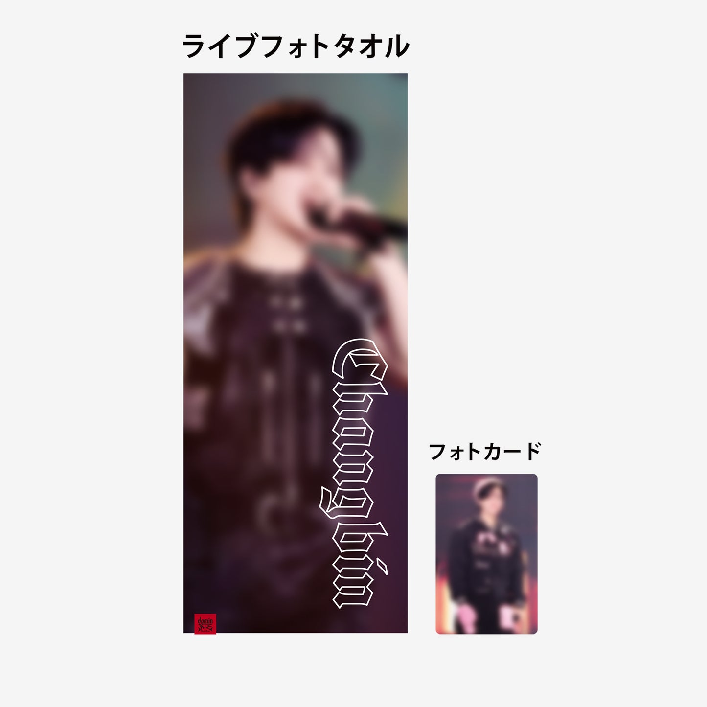 LIVE PHOTO TOWEL【Changbin】/ Stray Kids『Stray Kids World Tour <dominATE JAPAN>』
