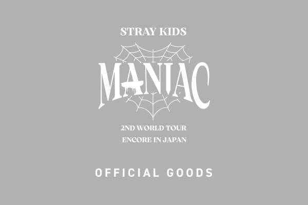 Stray Kids 2nd World Tour 