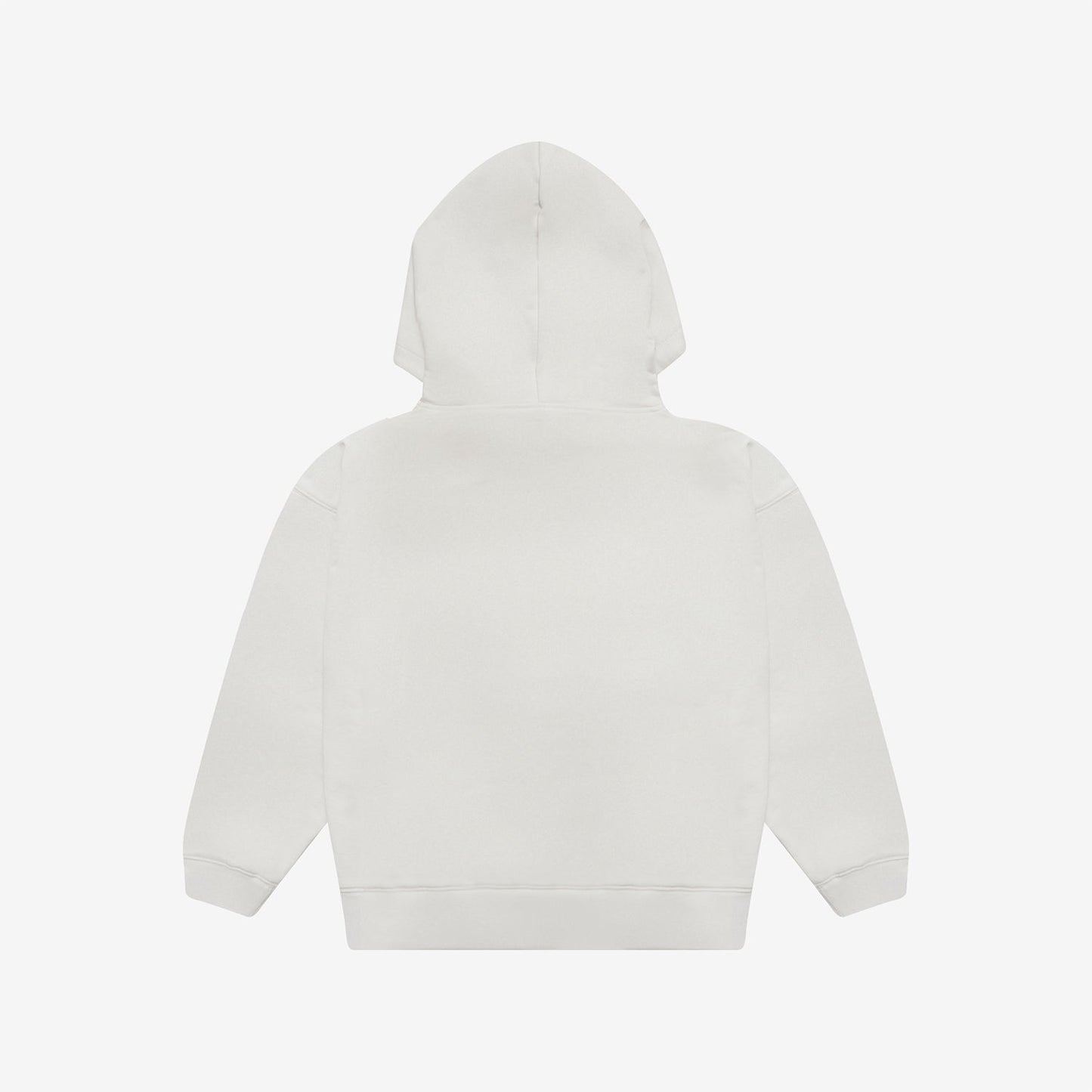 HOODIE / WOOYOUNG (From 2PM)『2025 Jang Wooyoung Concert ＜half half＞』