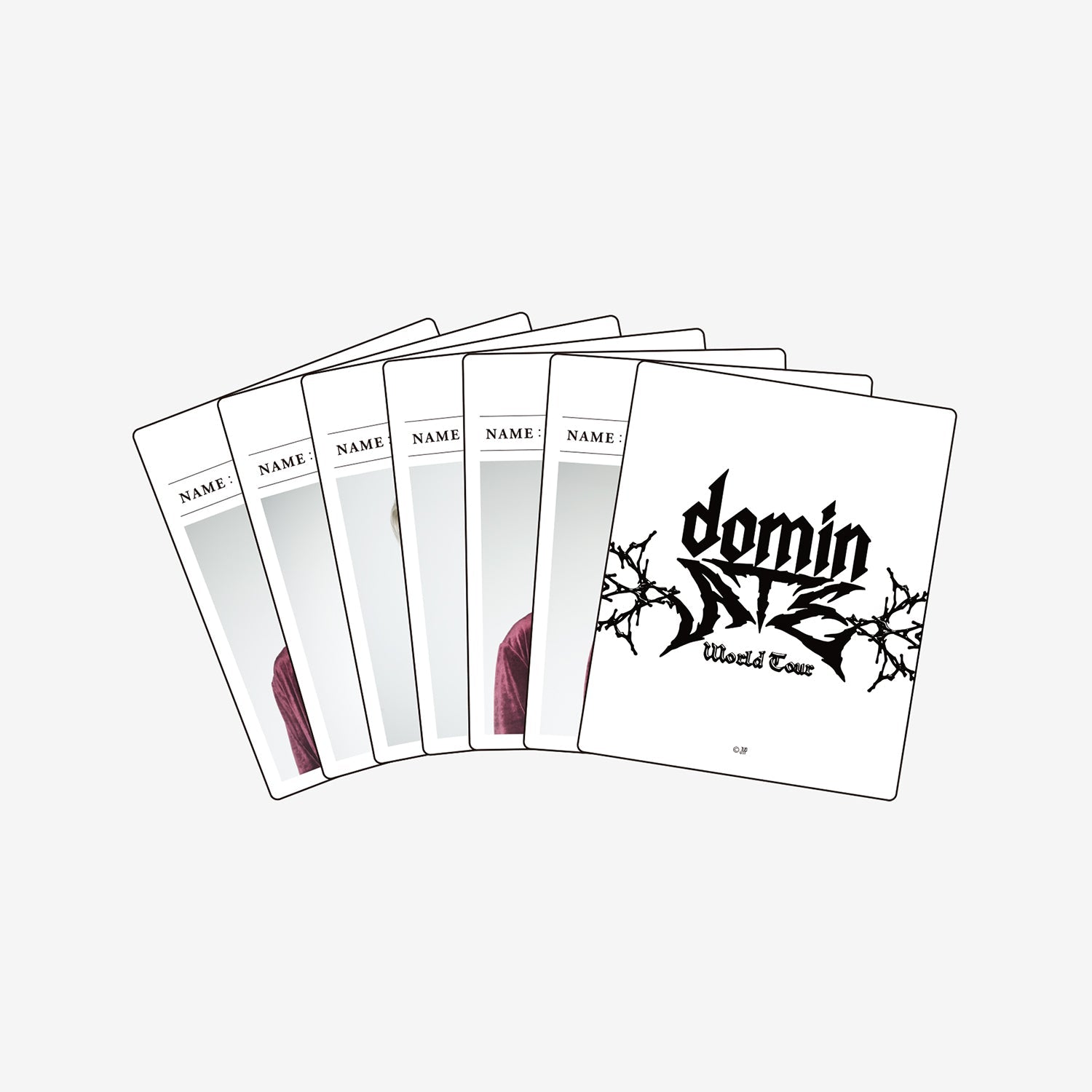 INSTANT PHOTO SET（6PIECES）- Felix / Stray Kids『Stray Kids World Tour ＜dominATE JAPAN＞』