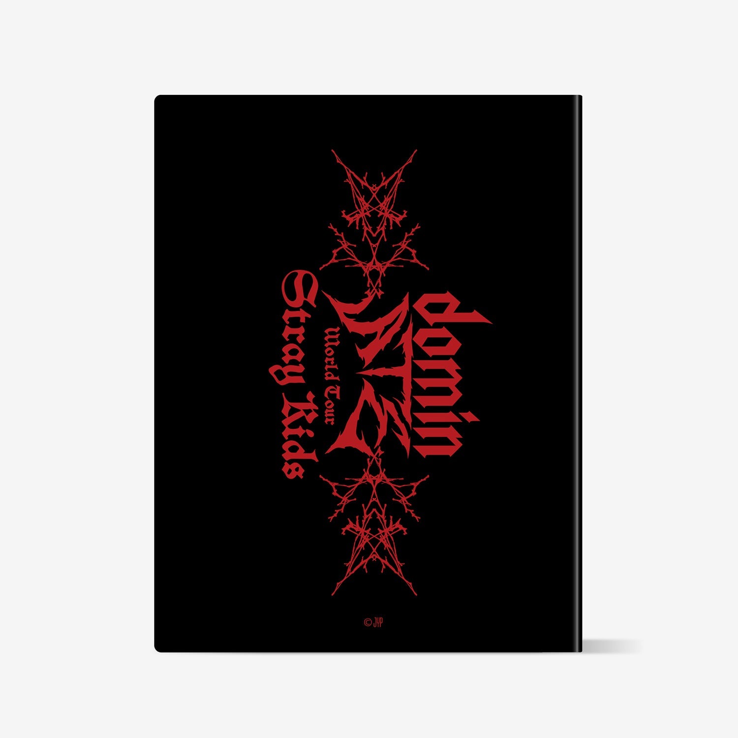 TRADING CARD CASE / Stray Kids『Stray Kids World Tour ＜dominATE