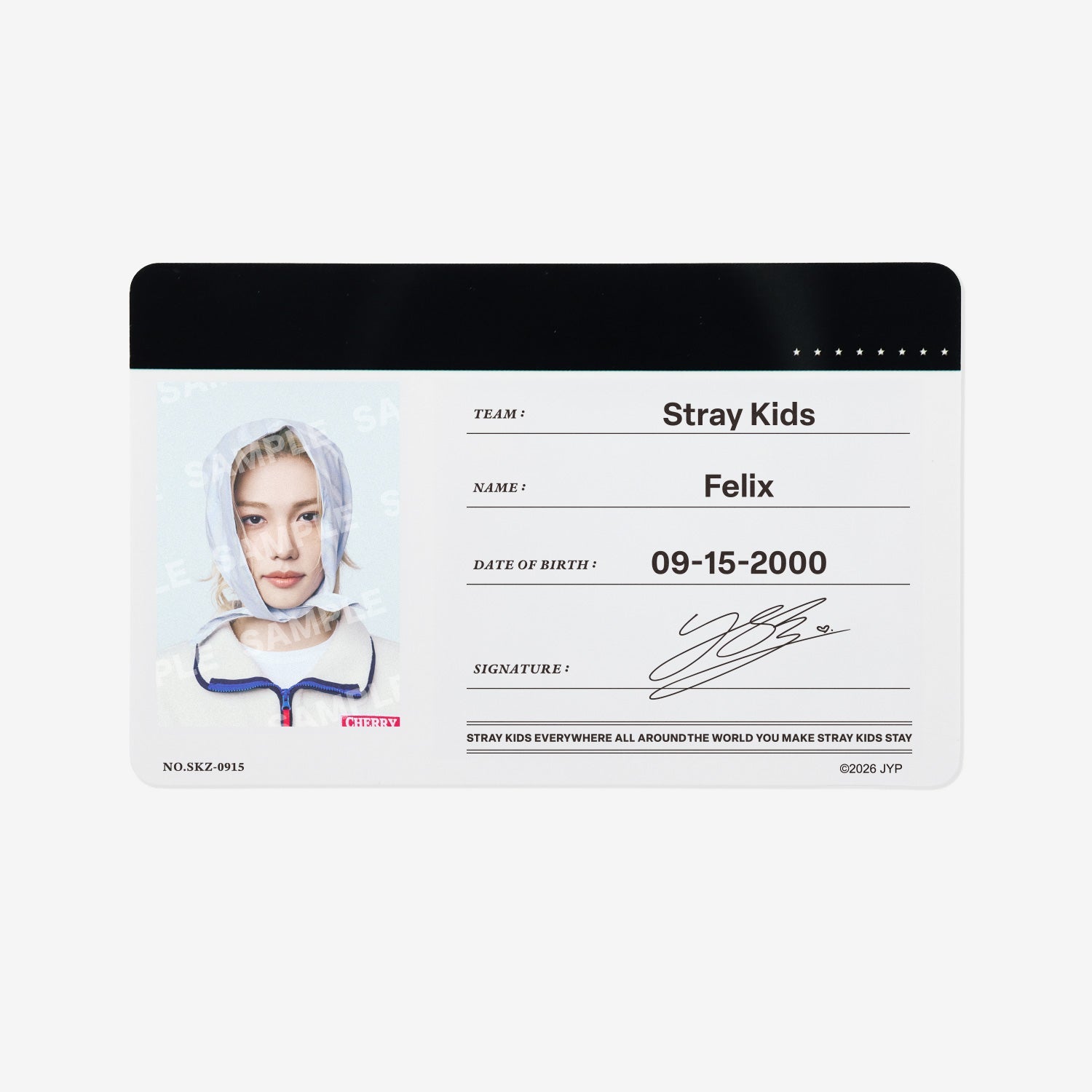 PROFILE CARD SET - Felix / Stray Kids『World Tour 』 – JYP JAPAN