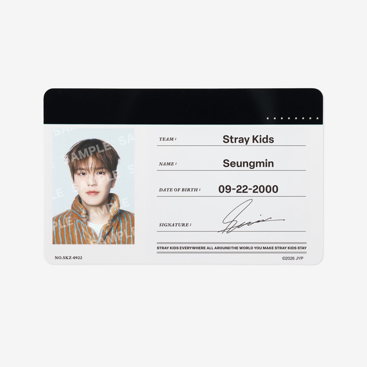StrayKids スキズ トレカ ssjyp スンミン PROFILE CARD SET - Seungmin / Stray Kids『World Tour 』 – JYP