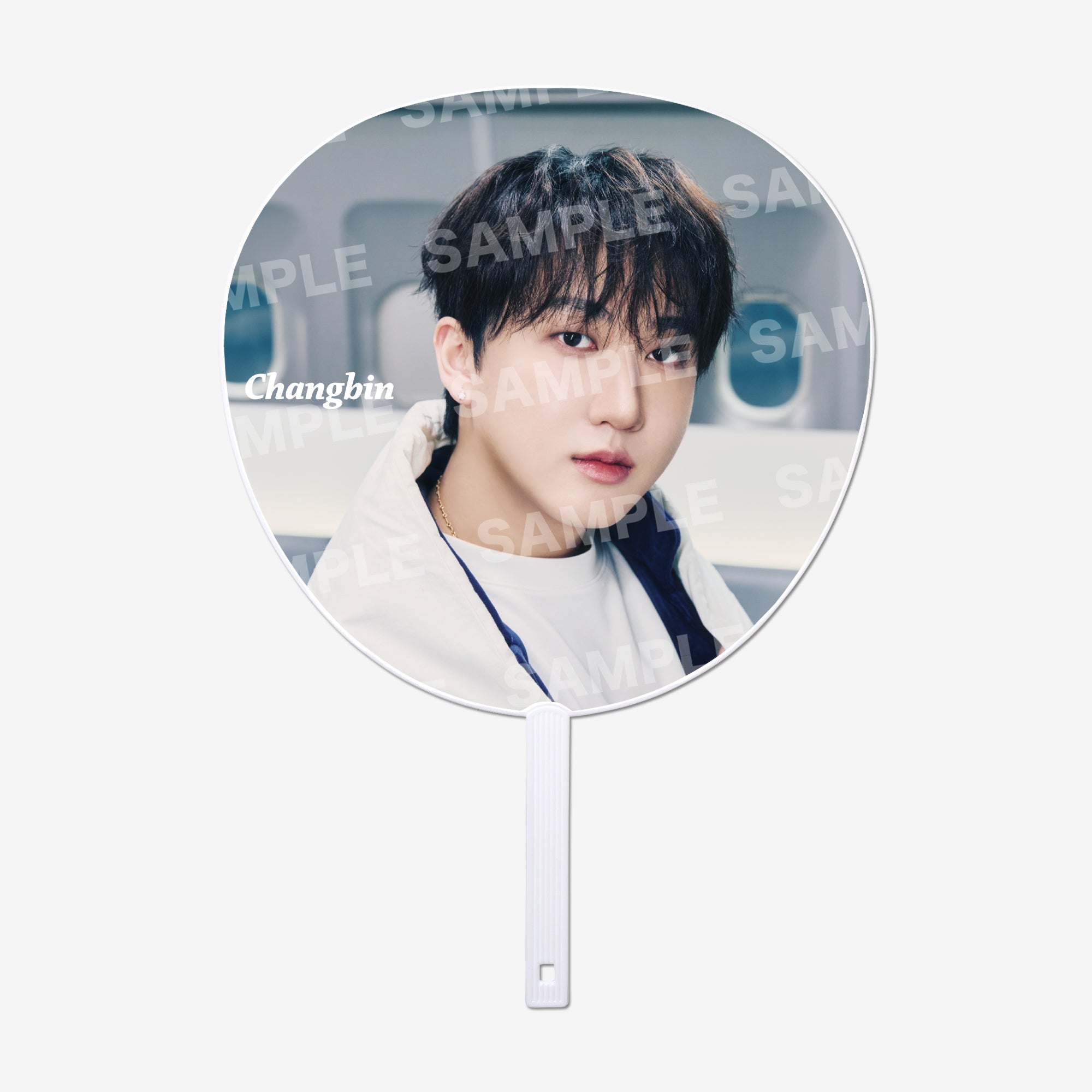 IMAGE PICKET【B】- Changbin / Stray Kids『World Tour 』 – JYP