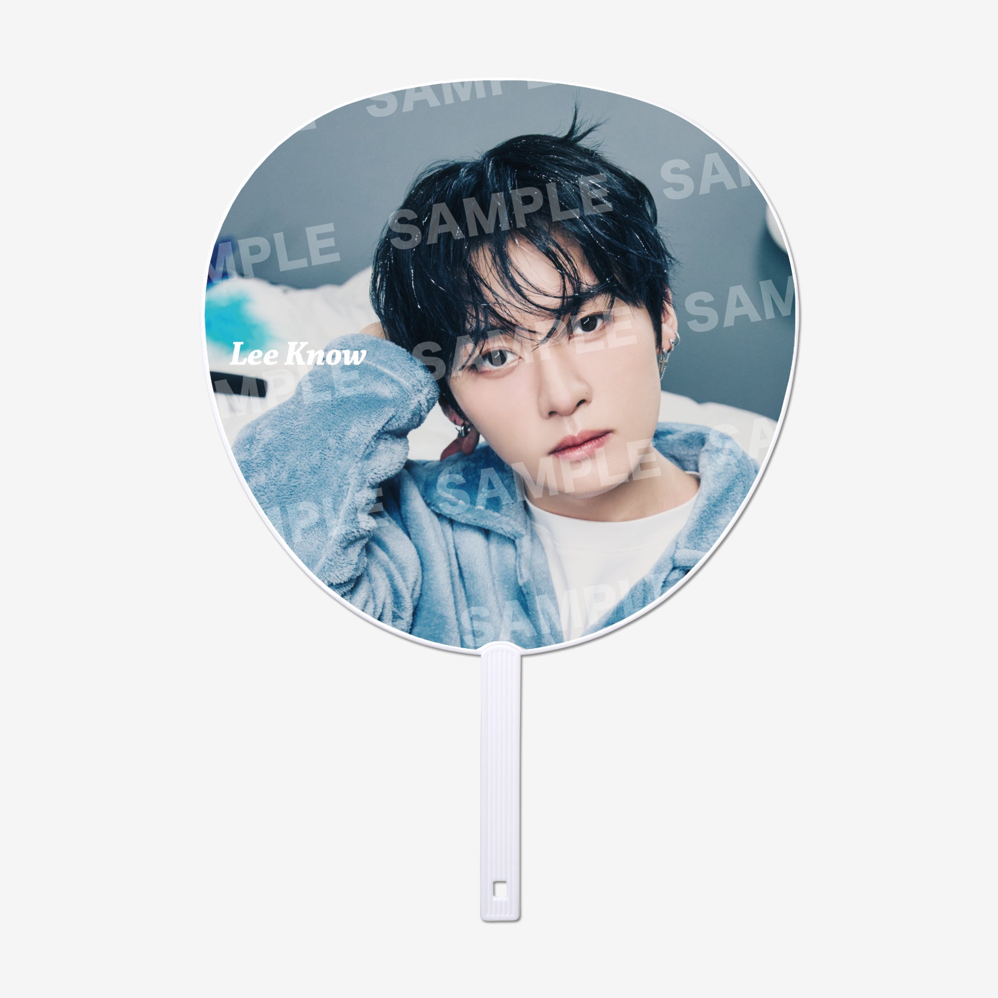 IMAGE PICKET【B】- Lee Know / Stray Kids『World Tour 』 – JYP