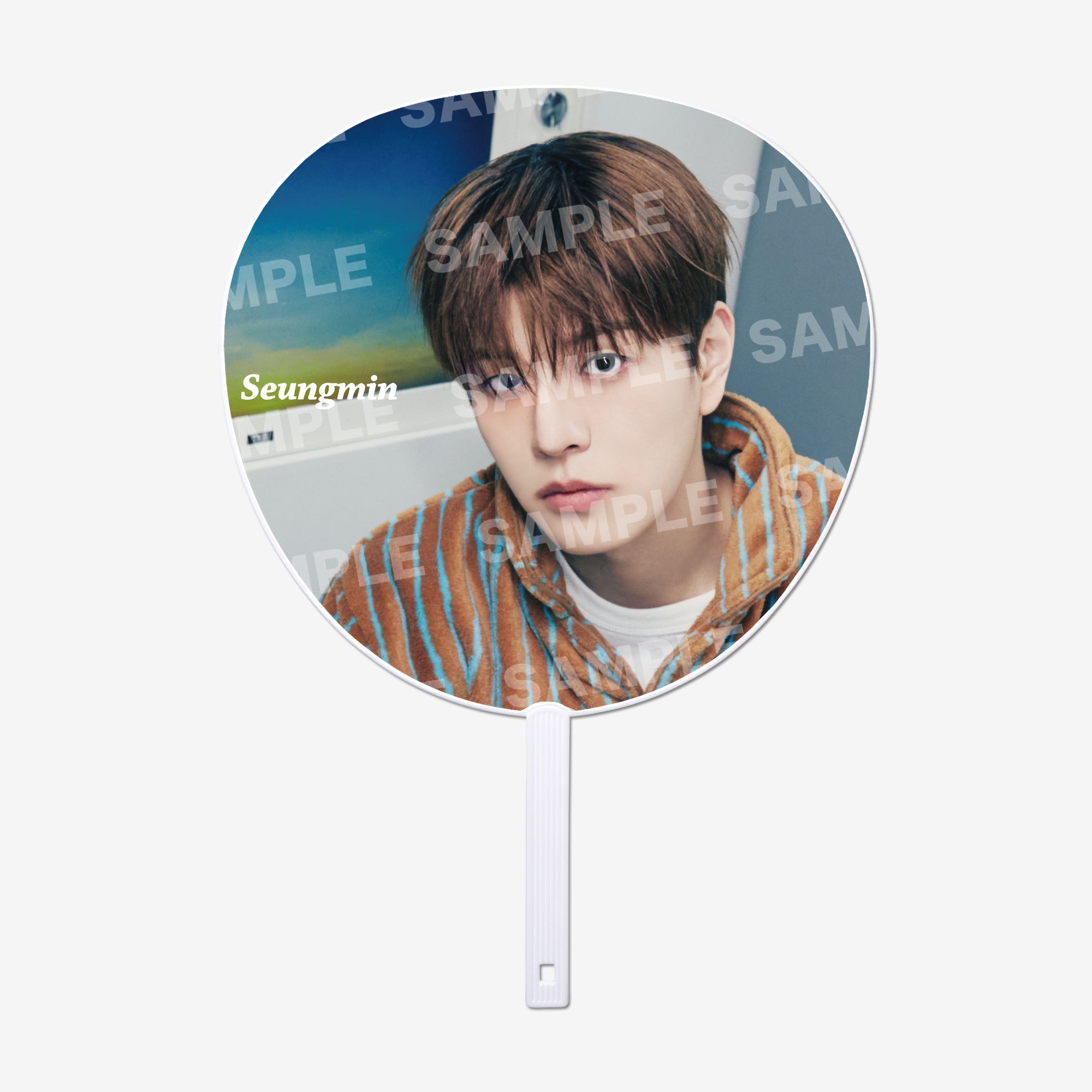 IMAGE PICKET【B】- Seungmin / Stray Kids『World Tour 』 – JYP