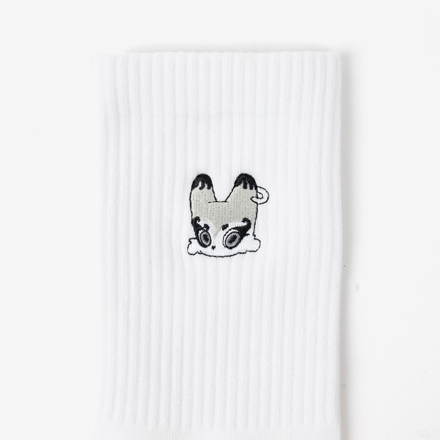 SOCKS / NEXZ『JYP JAPAN POPUP STORE 2024』