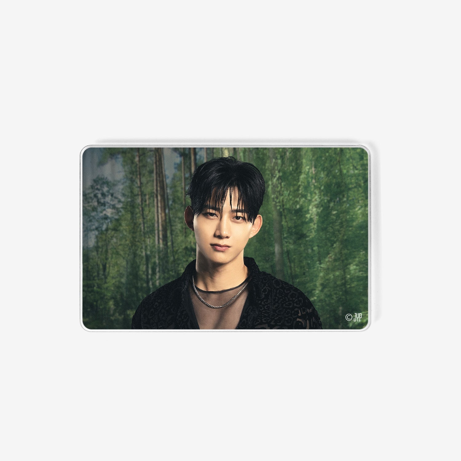 ACRYLIC MAGNET【A】- TAECYEON / 2PM『It's 2PM』