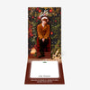 POPUP POST CARD - Lee Know / Stray Kids『Xmas POPUP STORE 2023』