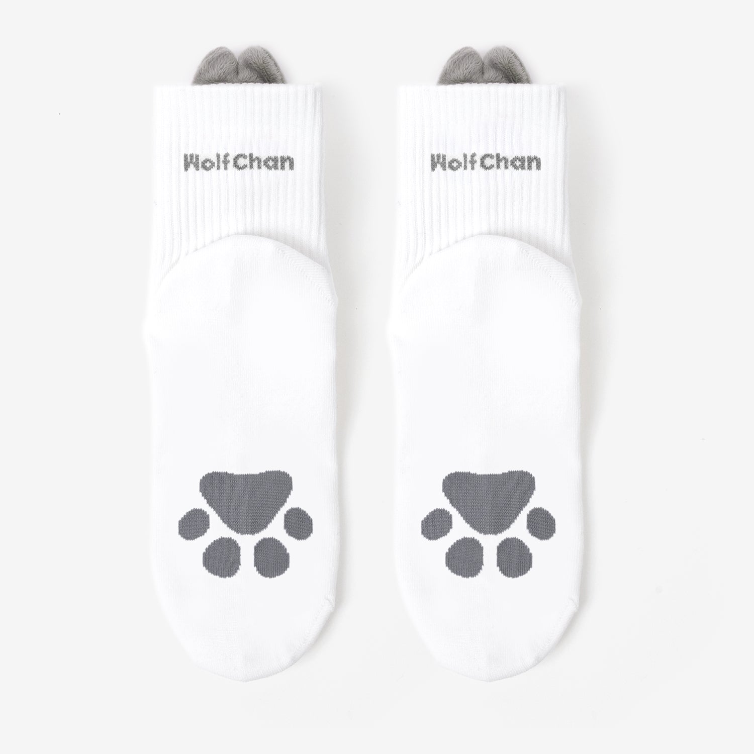 SOCKS - Wolf Chan / Stray Kids『Fan Connecting 2024 