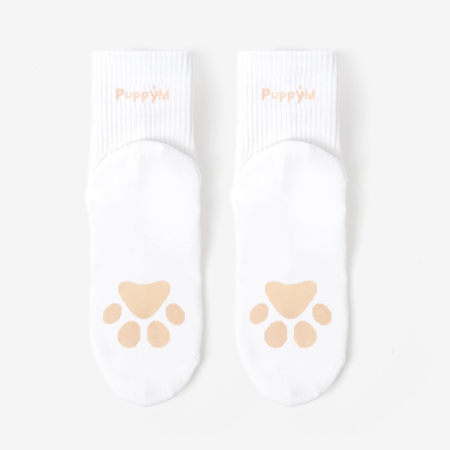 SOCKS - PuppyM / Stray Kids『Fan Connecting 2024 